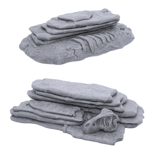 Prehistoric Stone Slabs